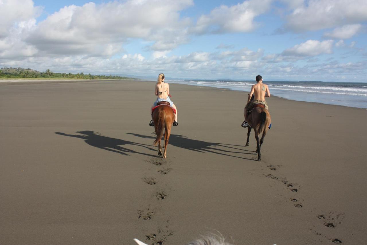 Bay Eco Lodge