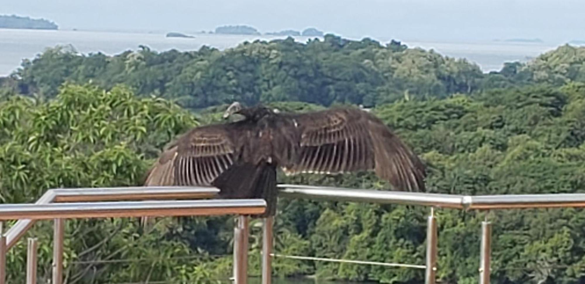 Bay Eco Lodge